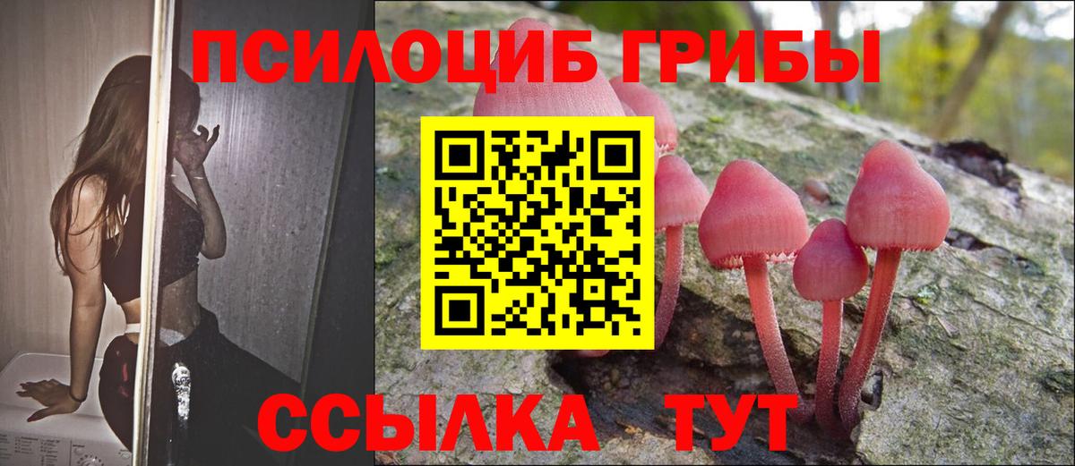 Псилоцибиновые грибы Magic Shrooms  Сосновоборск 