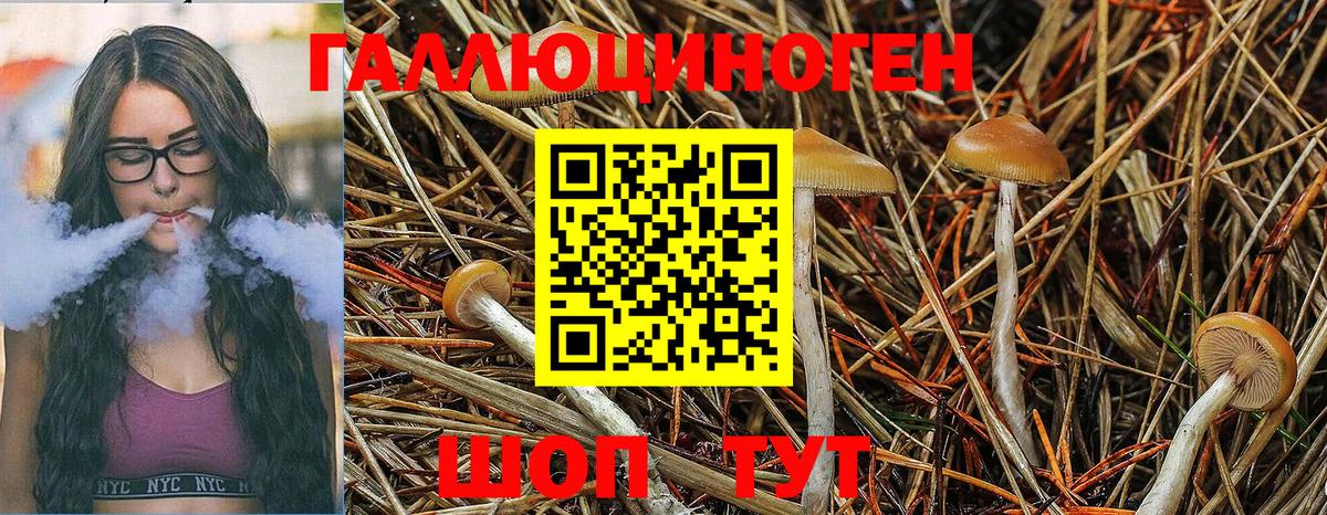Галлюциногенные грибы Cubensis Сосновоборск