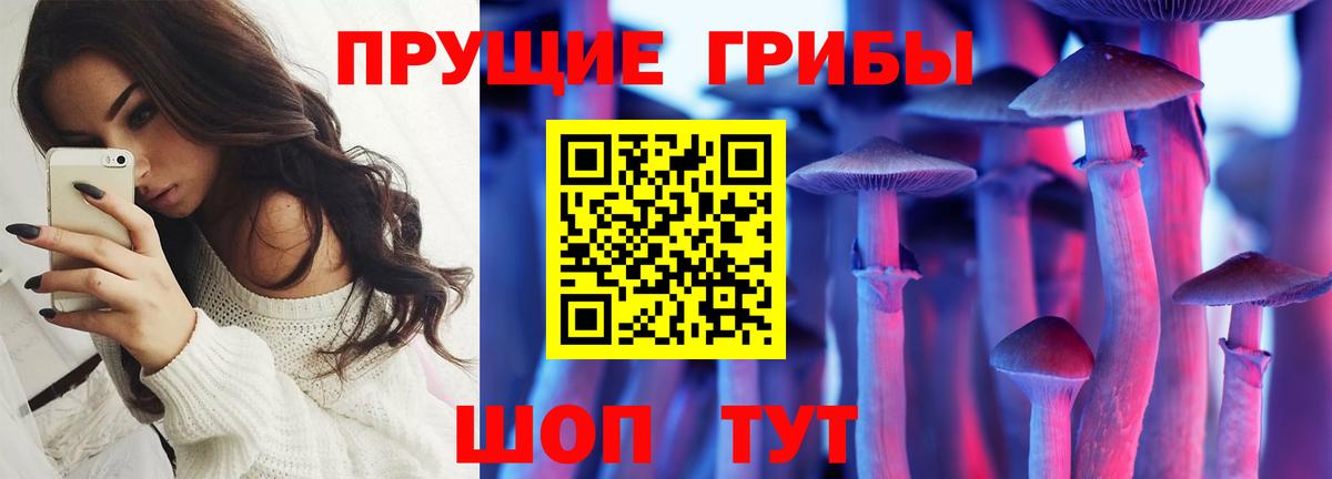 Псилоцибиновые грибы прущие грибы Сосновоборск